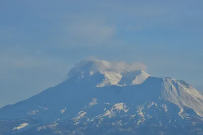 DSC_6019 (Large).JPG